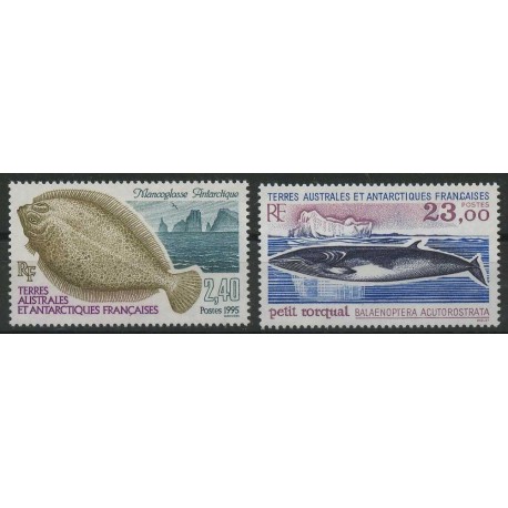 TAAF - Nr 331 - 32 1995r - Ryba - Ssak morskie