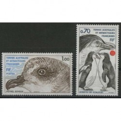 TAAF - Nr 136 - 37 1980r - Ptaki
