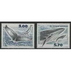 SPM - Nr 791 - 92 2000r - Ssaki morskie
