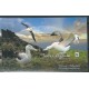 Tristan da Cunha - Bl 66 2013 r - WWF - Ptaki