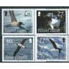 Falklandy - Nr 1074 - 77 2009r - Ptaki