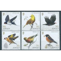 Jersey - Nr 2244 - 49 2018r - Ptaki