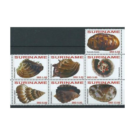 Surinam - Nr 2447 - 53 2011r - Muszle