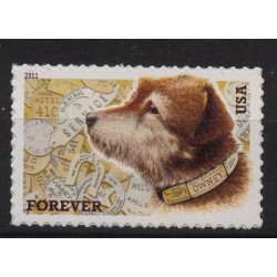USA - Nr 47322011r - Pies