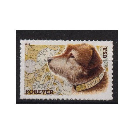 USA - Nr 47322011r - Pies