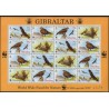 Gibraltar - Nr 774 - 77 Klb 1996r - WWF - Ptaki