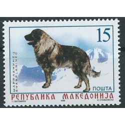 Macedonia - Nr 150 - 1999r - Pies