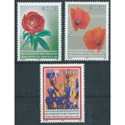 Kosovo - Nr 028 - 30 2005r - Kwiaty