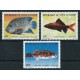 Wybrzeże Kości Słoniowej - Nr 673 - 75 1981r - Ryby