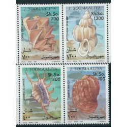 Somalia - Nr 507 - 10  Pasek 1994r - Muszle