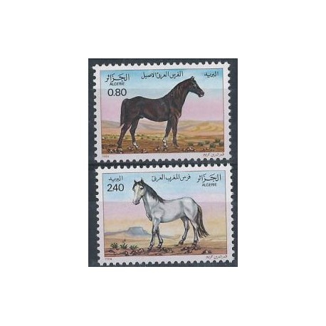 Algieria - Nr 854 - 55 1984r - Konie