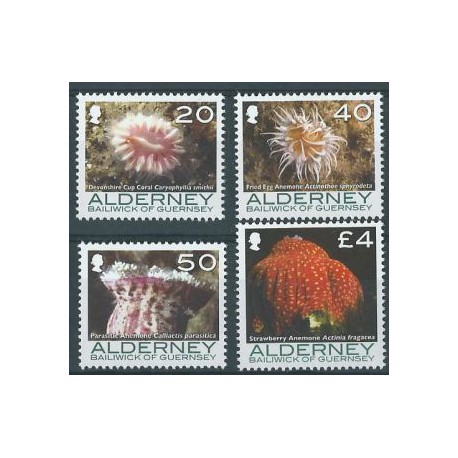 Alderney - Nr 310 - 13 2007r - Fauna morska