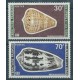 Terytorium Afarów i Issów - Nr 165 - 66 1977r - Muszle