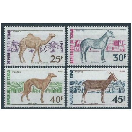 Czad - Nr 592 - 95 1972r - Pies - Koń