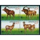 Angola - Nr 799 - 02 1990r - WWF - Ssaki
