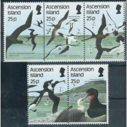 Ascension - Nr 443 - 47 1987r - Ptaki