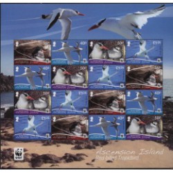Ascension - Nr 1151 - 54 Klb d2001r - WWF - Ptaki