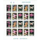 Korea N. - Nr 3495 - 99 Klb 1993r - Kwiaty