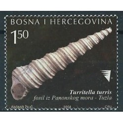 Bośnia i Hercegowina Sarajewo - Nr 531 2008r - Muszla