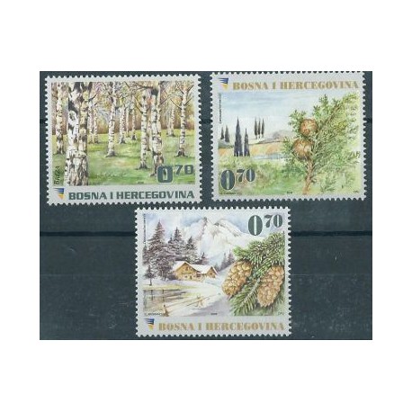 Bośnia i Hercegowina - Nr 536 - 38 2008r - Drzewa