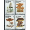 Botswana - Nr 317 - 20 1982r - Grzyby