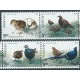 Tajwan - Nr 2154 - 57 Pasek  1993r - Ptaki