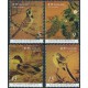 Tajwan - Nr 3312 - 15 2008r - Ptaki