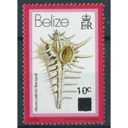 Belize - Nr 572 I 1981r - Muszle