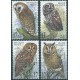 Belgia - Nr 2857 - 60 1999r - Ptaki