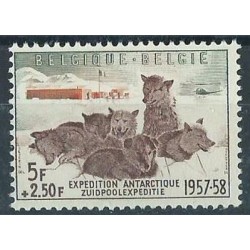 Belgia - Nr 1072 1957r - Psy