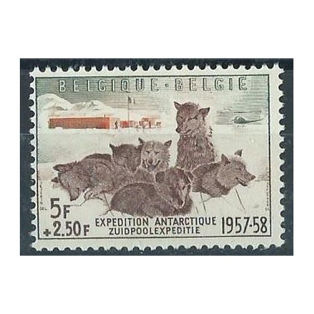 Belgia - Nr 1072 1957r - Psy