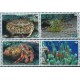 St. Vincent Gr. Bequia - Nr 647 - 50 Pasek 2010r - WWF - Fauna morska