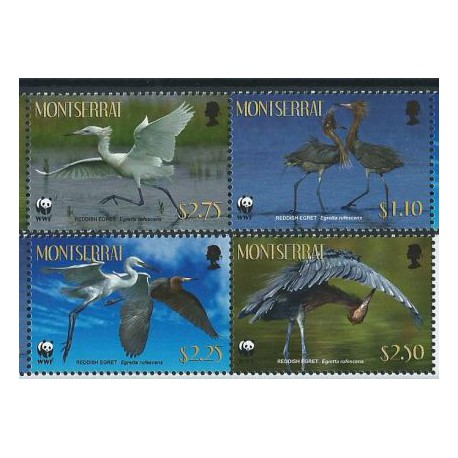 Montserrat - Nr 1524 - 27 Pasek  2010r - WWF  -  Ptaki