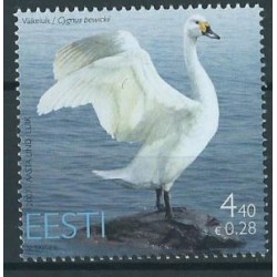 Estonia - Nr 580 2007r - Ptaki