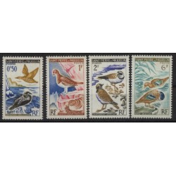 SPM - Nr 398 - 01 1963r - Ptaki