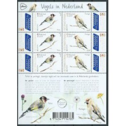 Holandia - Nr 3814 - 15 Klb 2019r - CEPT - Ptaki