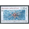 TAAF - Nr 1043 2019r - Pająk