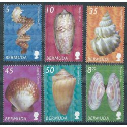 Bermudy  - Nr 829 - 46 2002r - Muszle