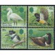 Kajmany - Nr 532 - 35 1984r - Ptaki