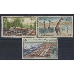 Kamerun - Nr 309 - 11 1955r - Kolonie Fr - Ssaki