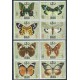 Dubaj - Nr 295 - 021968r - Motyle