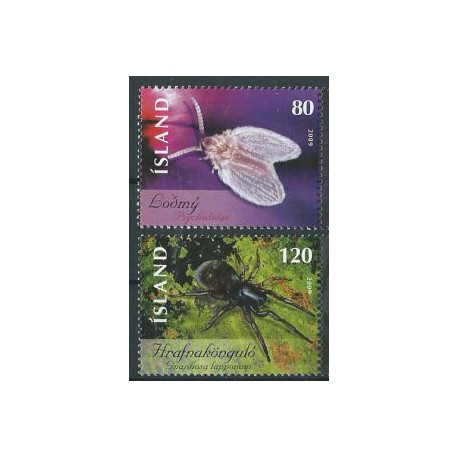 Islandia - Nr 1221 - 22 2009r - Insekty