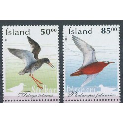 Islandia - Nr 1022 - 23 2002r - Ptaki
