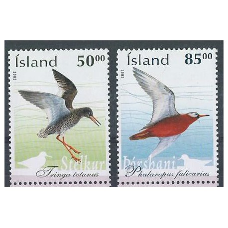 Islandia - Nr 1022 - 23 2002r - Ptaki