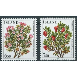 Islandia - Nr 619 - 20 1984r - Kwiaty