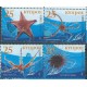 Cypr - Nr 1087 - 90 2007r - Fauna morska