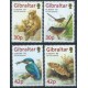Gibraltar - Nr 852 - 55 1999r - CEPT - Ptaki - Ryba