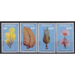 Senegal - Nr 978 - 81 1988r - Fiora morska