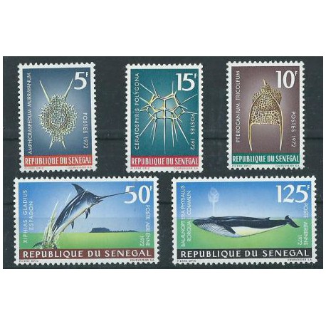Senegal - Nr 505 - 09 1972r - Ryby - Fauna morska