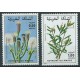 Maroko - Nr 943 - 44 1980r - Kwiaty